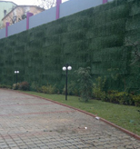 cim-cit