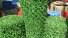 rulo_panel_cit