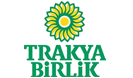 Telçit